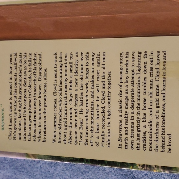 Bearstone - Picture 3 of 4